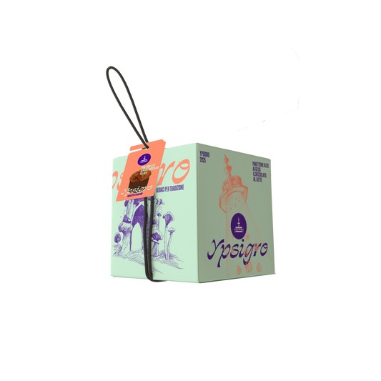 YPSIGRO. Panettone alto ai Gelsi e Cioccolato al latte da 750 G