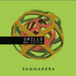 Grillo D.O.C SICILIA  Vino bianco biologico - SUMMANERA