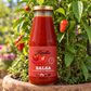 Salsa di pomodoro al Peperoncino - Tenuta rinella